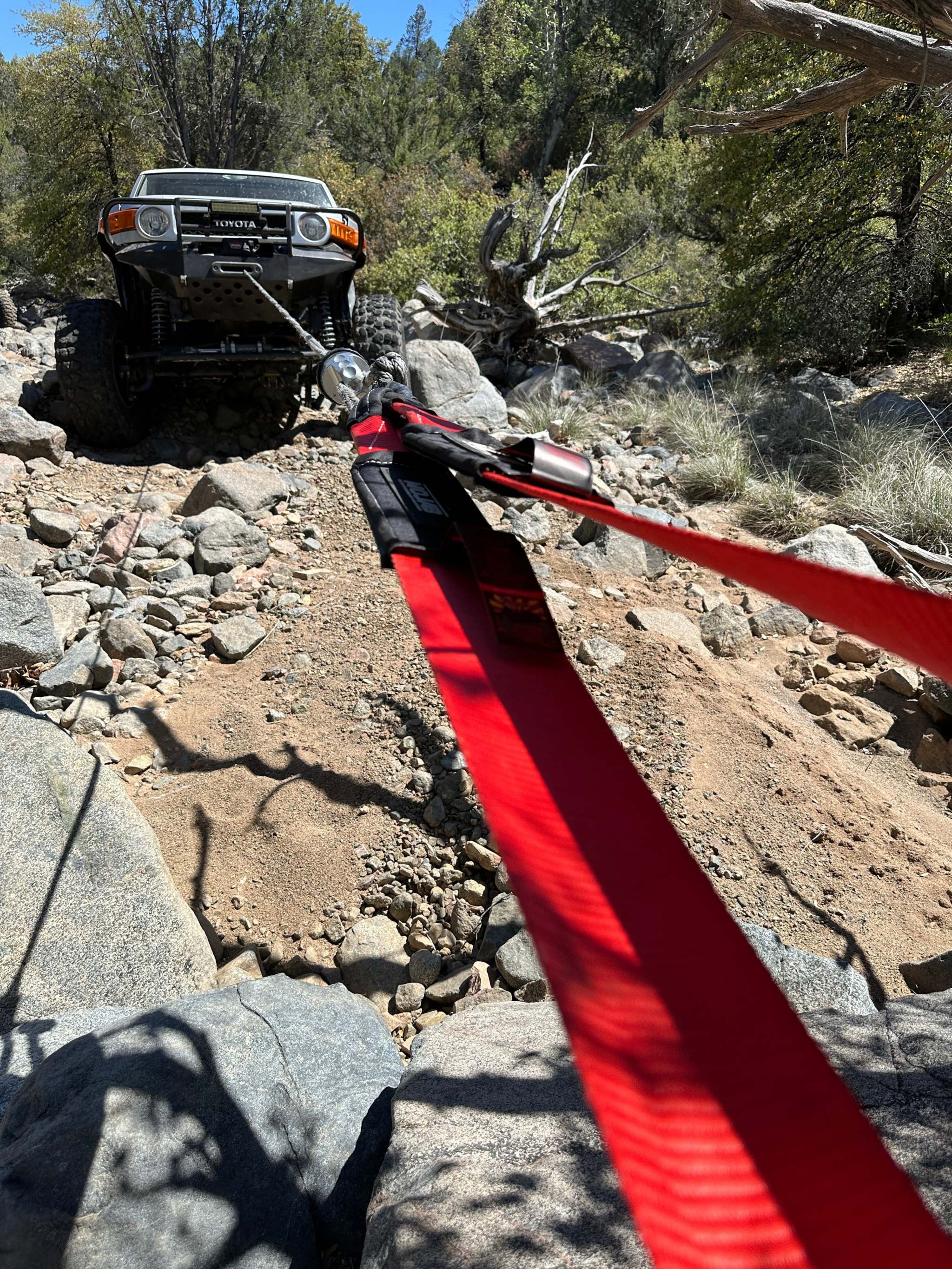 Tree Saver Strap - 4'' x 10 FT. Tow & Winch Strap | Lifetime Warranty - Image 2